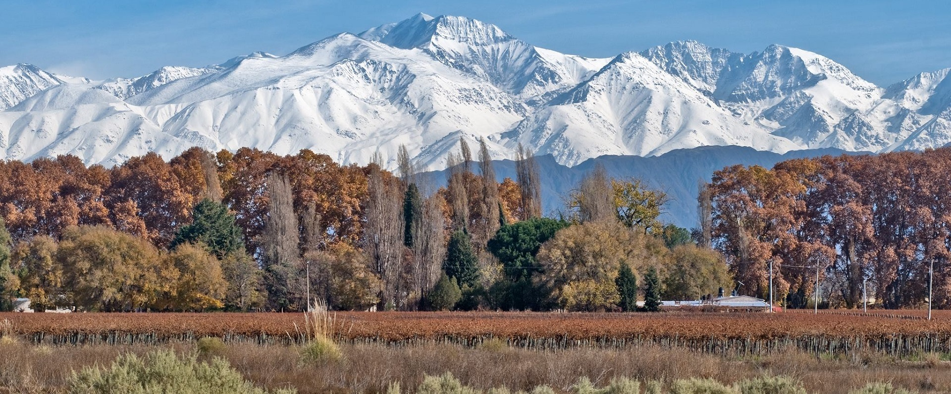 Mendoza y Galicia: Un Futuro Energético Sostenible