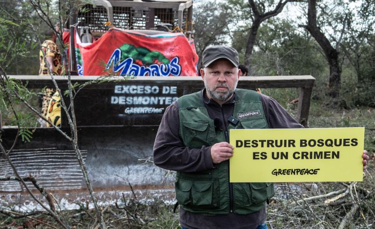 Greenpeace Bloquea Topadoras de Manaos: Deforestación Ilegal Expuesta