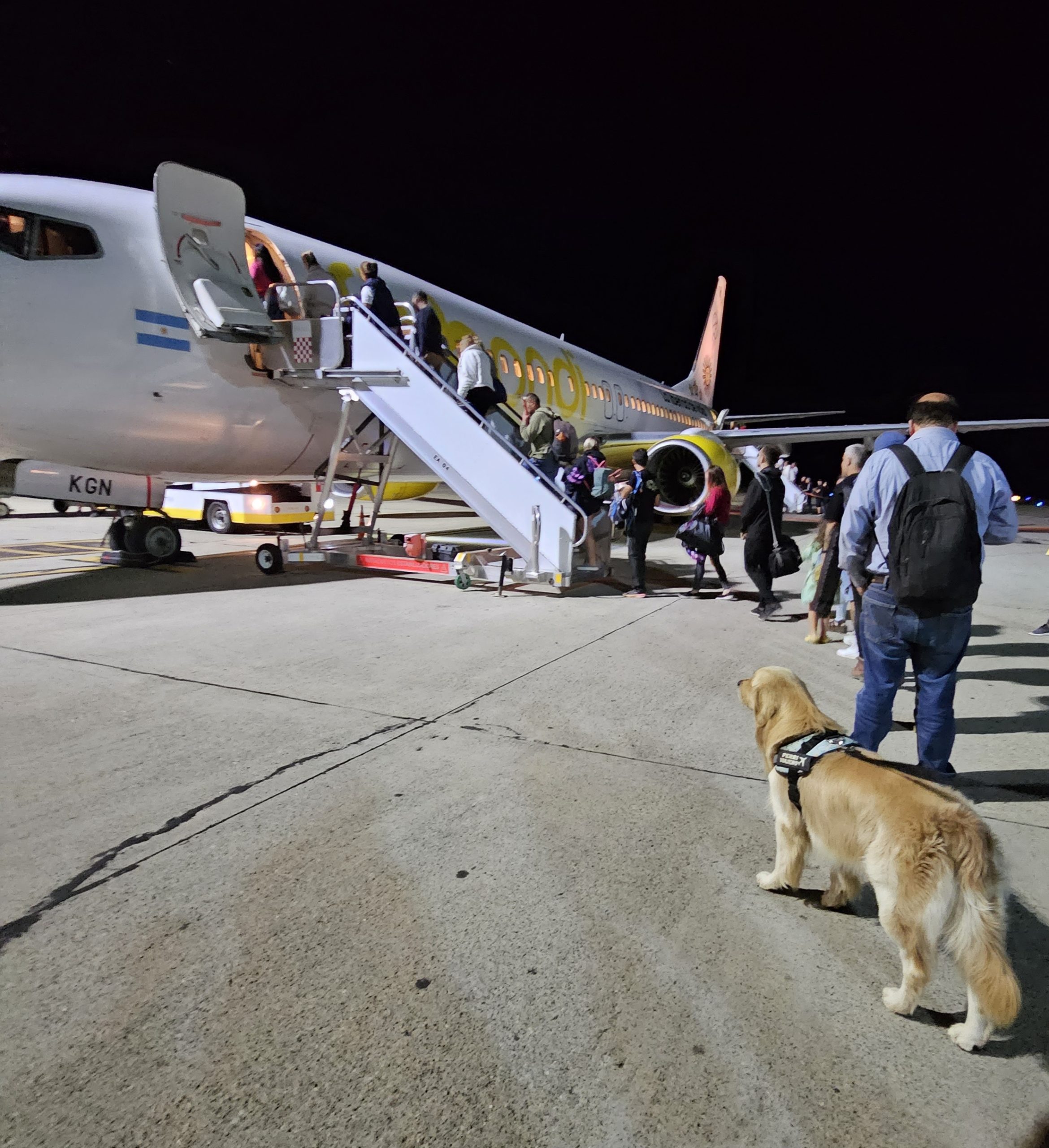 Flybondi Impulsa la Inclusión: Nueva Sección Web para Pasajeros con Discapacidad