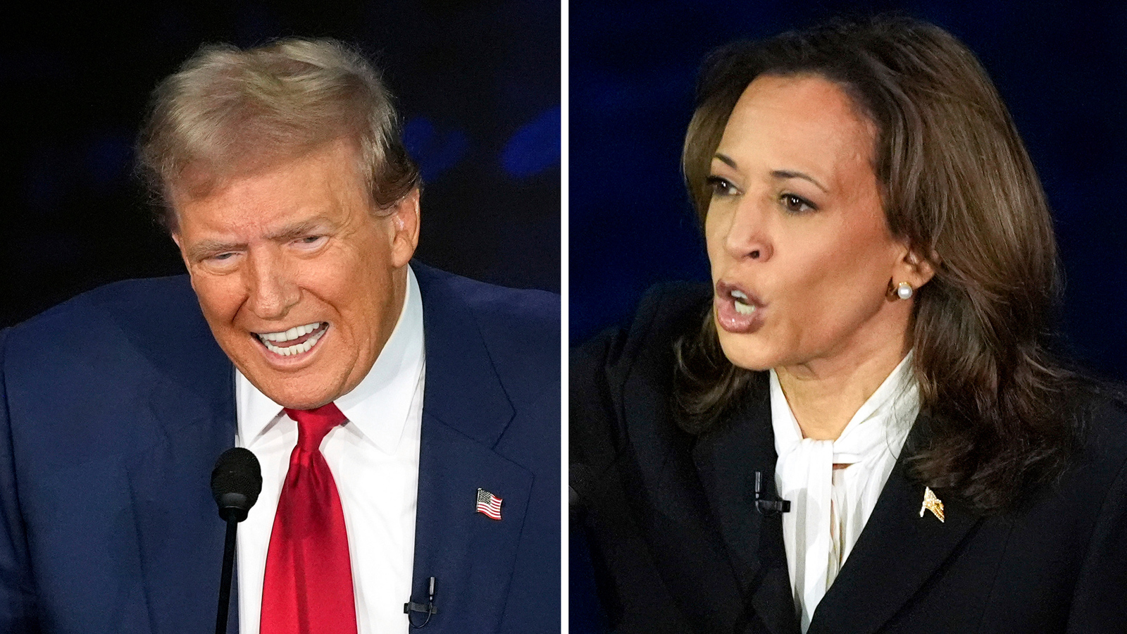 Las diferencias sostenibles entre Kamala Harris y Donald Trump: Dos visiones, un futuro en juego