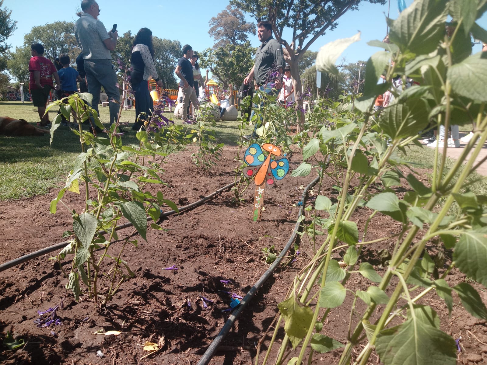 Syngenta y AGD crean corredor biológico en Santa Fe