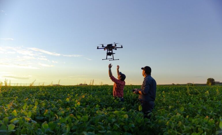 “Vista de un campo monitoreado con tecnología de inteligencia artificial para un manejo de cultivos más sustentable.”