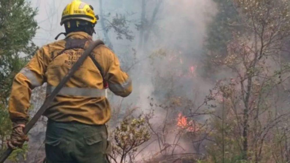 Incendios forestales en Argentina y falta de gestión efectiva